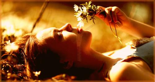 Ежедневник. Что такое ежедневник?