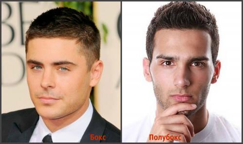 Чем отличается стрижка бокс от полубокса