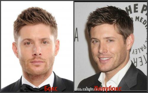 Чем отличается стрижка бокс от полубокса