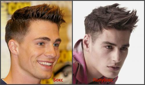 Чем отличается стрижка бокс от полубокса
