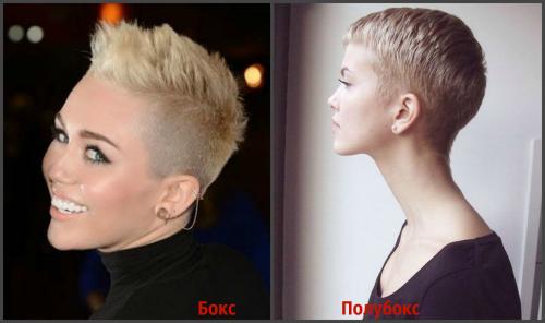 Чем отличается стрижка бокс от полубокса