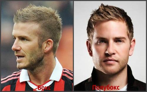 Чем отличается стрижка бокс от полубокса