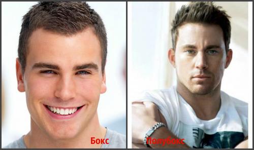 Чем отличается стрижка бокс от полубокса