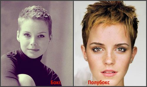 Чем отличается стрижка бокс от полубокса