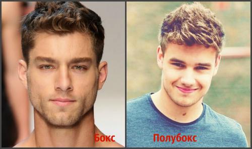 Чем отличается стрижка бокс от полубокса