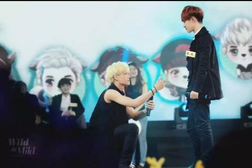 Айдолы с европейской внешностью. Чему не стоит верить в k-pop