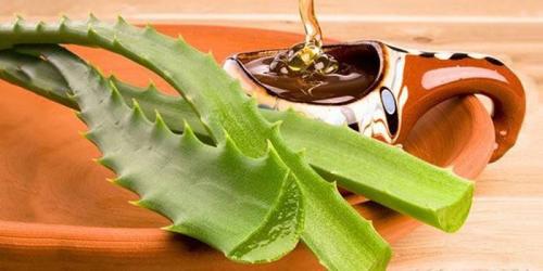 Маска с соком алоэ для волос. С медом
