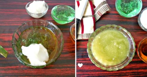 Маска с алоэ Вера для волос. Применение геля алоэ вера № 1: маски для волос