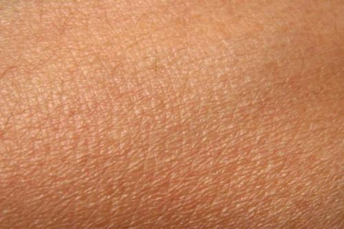 Кожа. Эпидерма