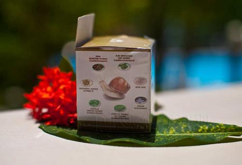 Priroda золото улитка крем. Улиточный крем Snail Gold Volume Filler 7 в 1 – отзыв