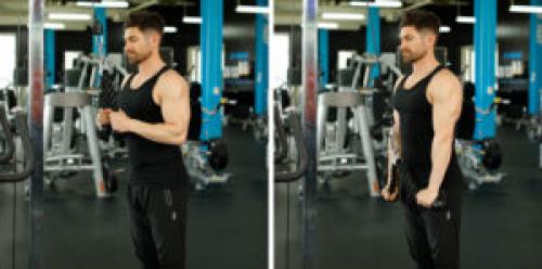 Упражнения на грудь и трицепс для девушек. Программа тренировки грудных мышц и трицепсов в один день на 6 недель