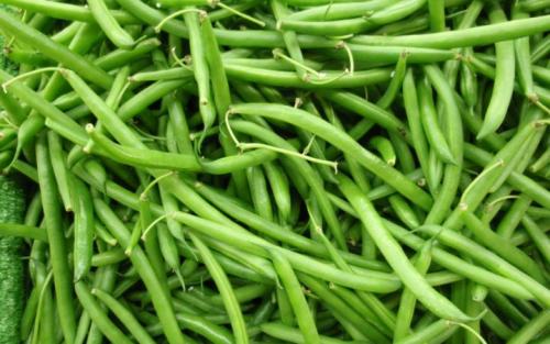 Стручковая фасоль польза. Химический состав