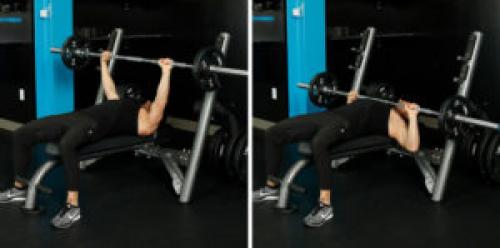 Упражнения на грудь и трицепс для девушек. Программа тренировки грудных мышц и трицепсов в один день на 6 недель