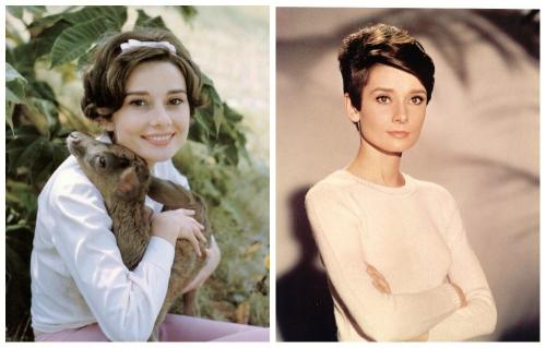 Макияж Одри Хепберн без макияжа. Одри Хепберн без макияжа, эталонная красота