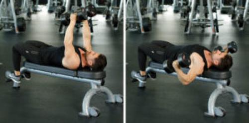 Упражнения на грудь и трицепс для девушек. Программа тренировки грудных мышц и трицепсов в один день на 6 недель