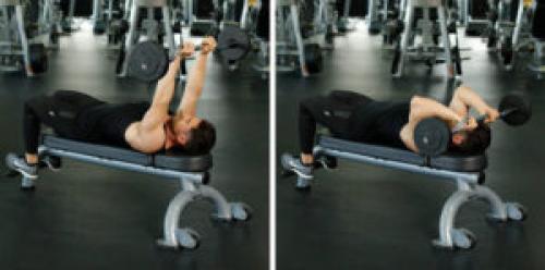 Упражнения на грудь и трицепс для девушек. Программа тренировки грудных мышц и трицепсов в один день на 6 недель