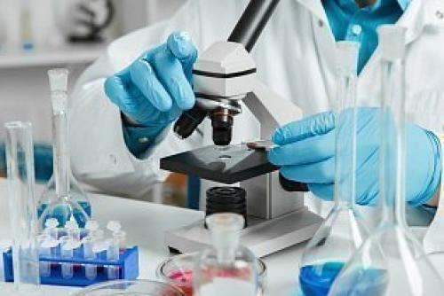 Ат к межклеточному веществу и базальной мембране кожи, что это. Антитела к межклеточному веществу (IS) и базальной мембране кожи (BMZ) (Basement Membrane Zone antibodies; IS/BMZ)