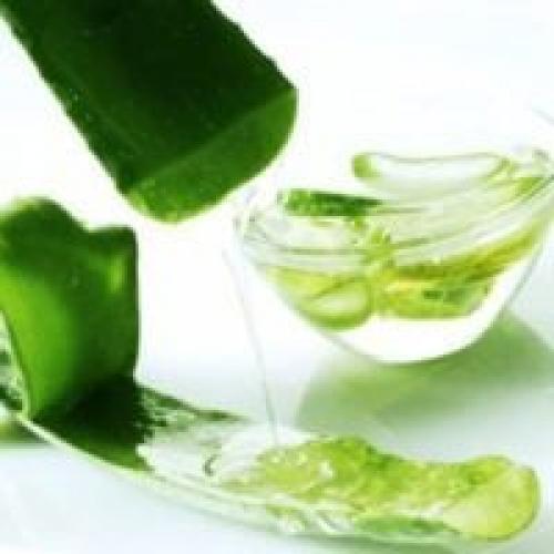 Цветок алоэ маски для лица. Маски из алоэ для лица. Делаем дома