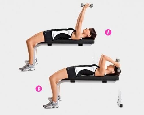 Упражнения на трицепс для женщин с гантелями в домашних условиях. Динамика Жизни Путь к здоровому образу жизни, стройности и счастью