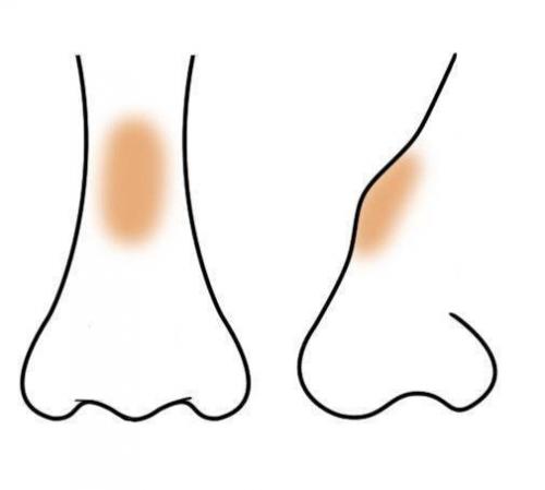 Как широкий нос сделать уже с помощью макияжа. Макияж, который «уменьшает» нос: пошаговая фотоинструкция