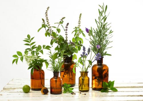 Матирующий крем для жирной и проблемной кожи. Что нужно учесть при выборе крема?