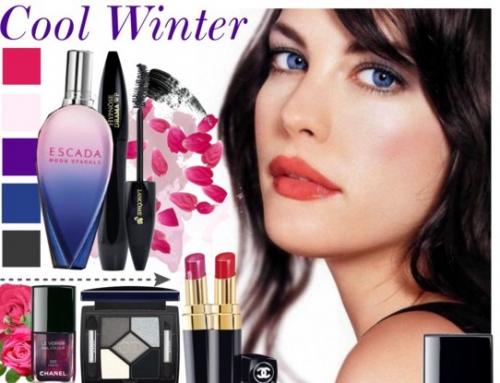 Макияж для зимнего цветотипа с серыми глазами. Идеальный макияж для цветотипа Зима