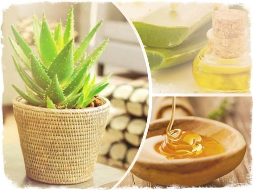 Маска для лица в домашних условиях с алоэ и меда. Алоэ с медом: маска для лица