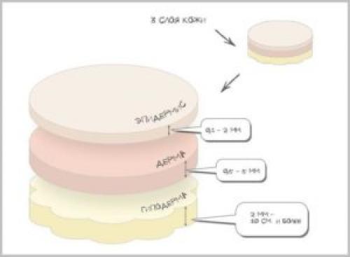 Микроблейдинг бровей и перманентный татуаж в чем разница. Немного о микроблейдинге