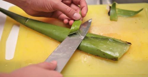 Маска для лица с алоем в домашних условиях. Польза от применения масок с алоэ