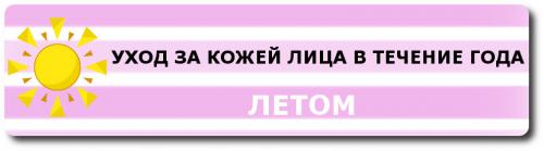 Уход за комбинированной кожей лица в зимний период. Комплексный уход за комбинированной кожей лица в течение года