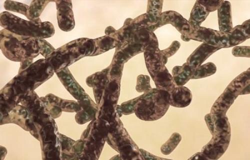 Уход за кожей для лица склонного к акне. Как помочь проблемной и склонной к акне коже?