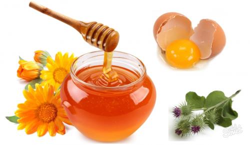 Маски для волос из яиц и меда. Яично-медовые маски для волос: для разных целей