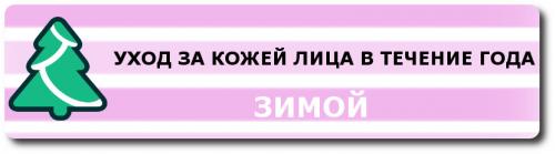 Уход за комбинированной кожей лица в зимний период. Комплексный уход за комбинированной кожей лица в течение года