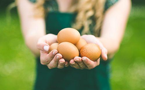 Маска для волос из яиц: 7 рецептов