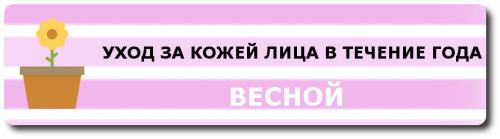 Уход за комбинированной кожей лица в зимний период. Комплексный уход за комбинированной кожей лица в течение года