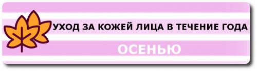 Уход за комбинированной кожей лица в зимний период. Комплексный уход за комбинированной кожей лица в течение года