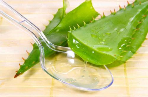 Маска для лица из алоэ в домашних условиях от прыщей и черных точек. Маска для лица с алоэ: от морщин, прыщей и черных точек.