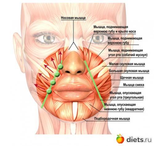 Массаж Асахи от носогубных складок. Разглаживаем носогубки: два эффективных массажных приема