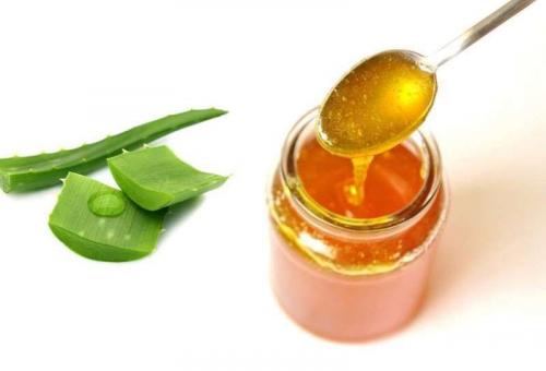 Маска для лица с алоэ вера в домашних условиях. Как сделать маску для лица из алоэ в домашних условиях