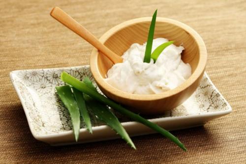 Маска для лица с алоэ вера в домашних условиях. Как сделать маску для лица из алоэ в домашних условиях