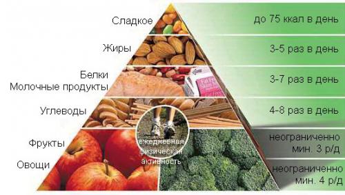 Диета жиросжигающий суп диета Клиники Майо. Общие правила