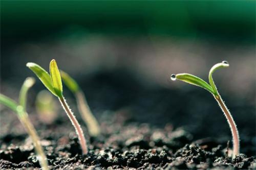 Это нужно знать каждому. 20 вещей для развития, которые важно знать каждому