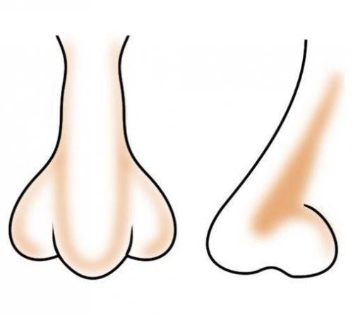 Как сделать нос визуально меньше с помощью косметики. Макияж, который «уменьшает» нос: пошаговая фотоинструкция