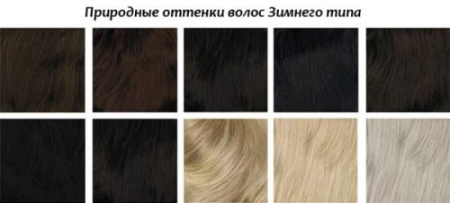 Цветотип Натуральная Зима. Цветотип «зима»: основные характеристики