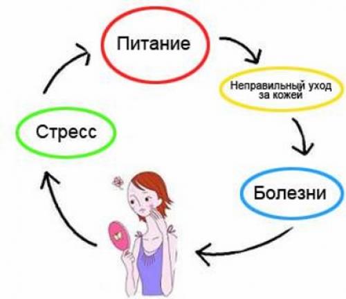 Как подобрать крем для жирной кожи лица. Причины жирности кожи