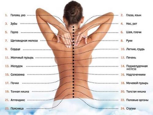 Чем полезен медовый массаж. Общее описание медового массажа для спины и его польза