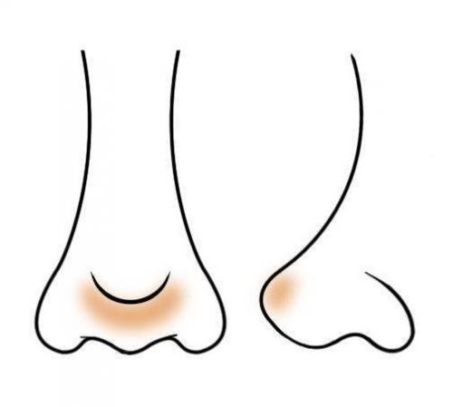 Как сделать нос визуально меньше с помощью косметики. Макияж, который «уменьшает» нос: пошаговая фотоинструкция