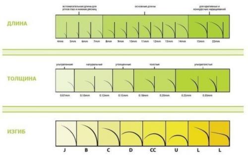 Изгиб м в ресницах. Какие бывают изгибы ресниц для наращивания