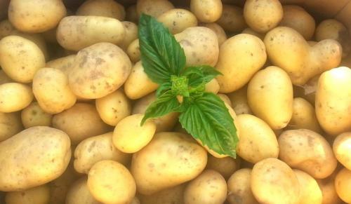 Маски для комбинированной кожи лица в домашних условиях рецепты. Питательные маски для комбинированной кожи