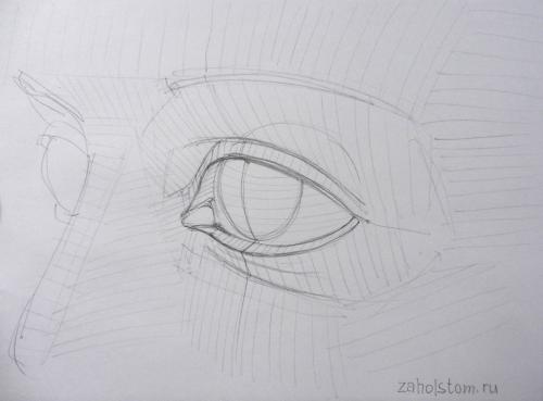 Круглые глаза рисунок. Как рисовать глаза? Рисунок глаза карандашом от «а» до «я».